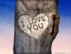 l'amour